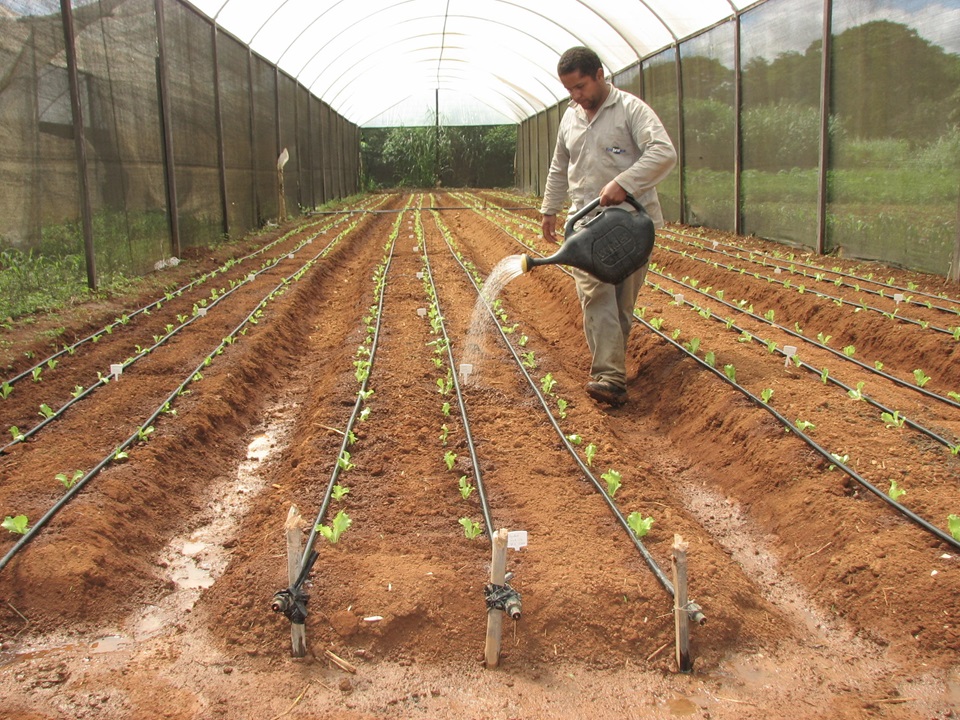 Sanção da Lei de Bioinsumos é importante estímulo para pesquisas na área